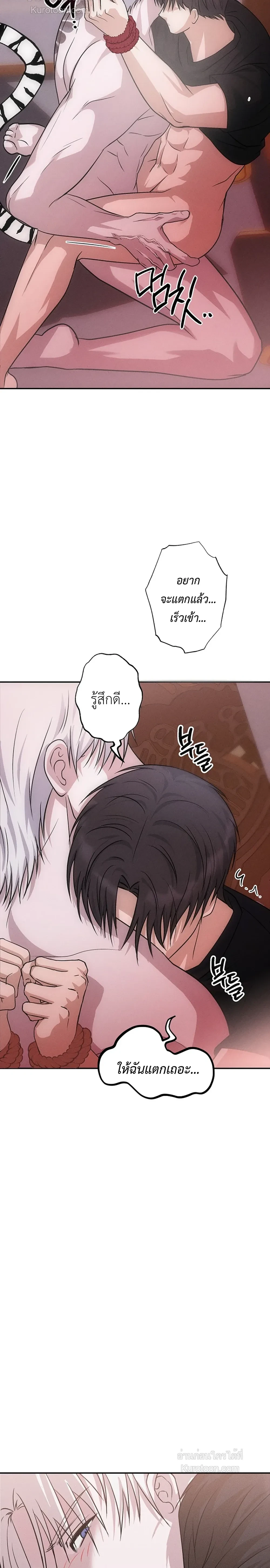 หน้าที่ 24