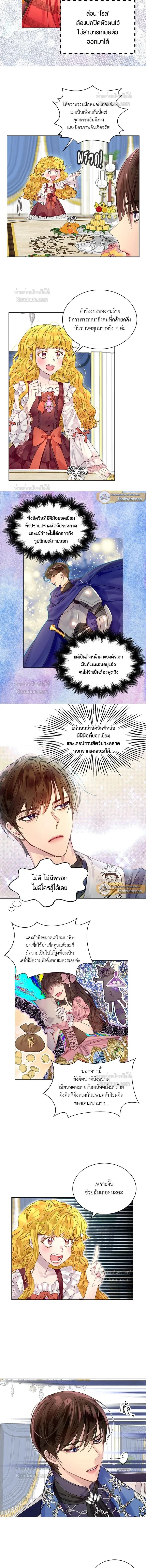 หน้าที่ 5