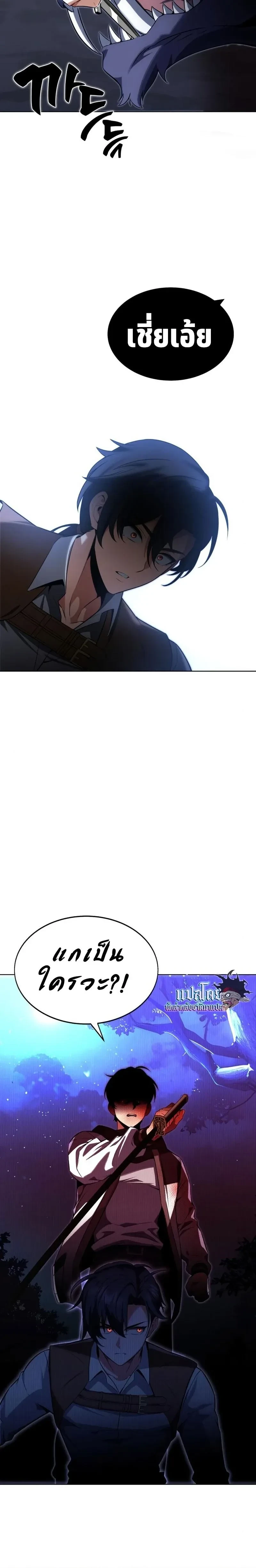 หน้าที่ 29