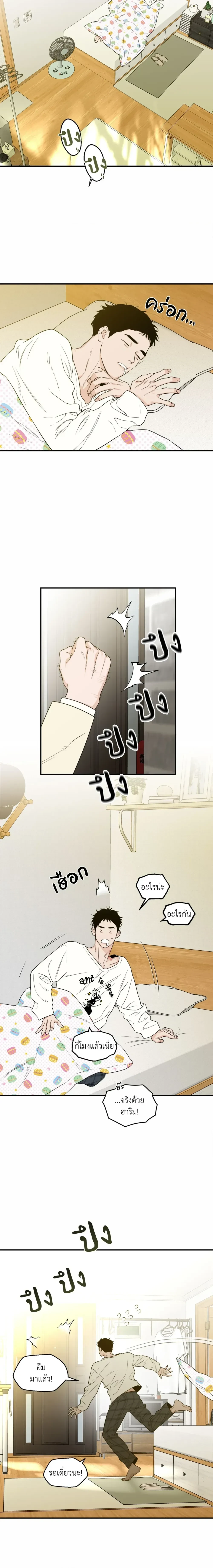 หน้าที่ 5