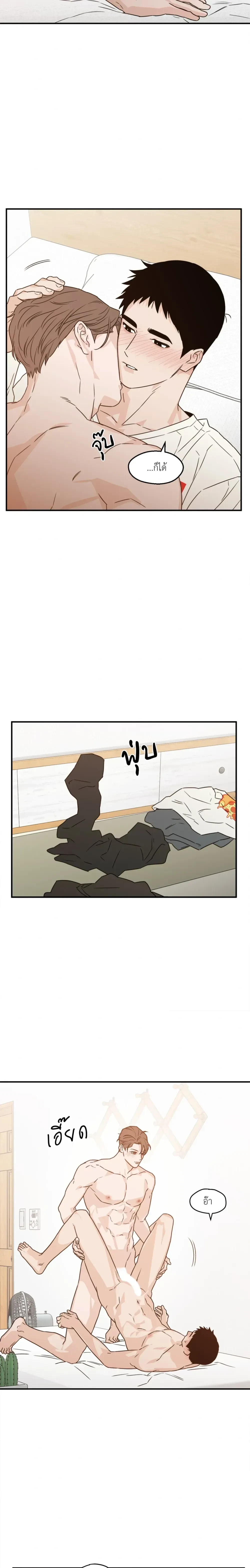 หน้าที่ 17