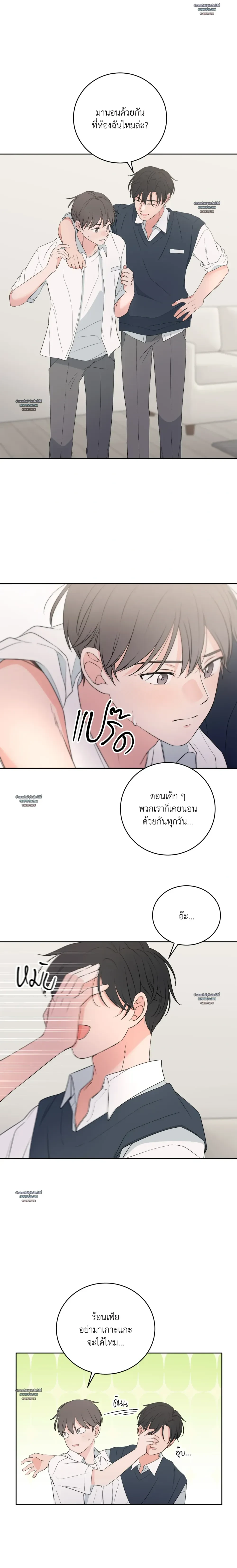 หน้าที่ 24