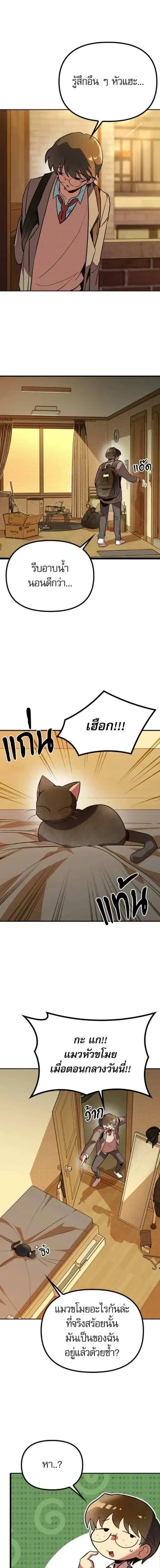 หน้าที่ 31