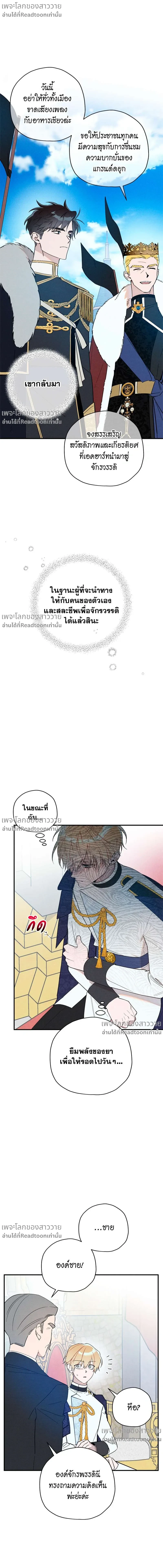 หน้าที่ 13