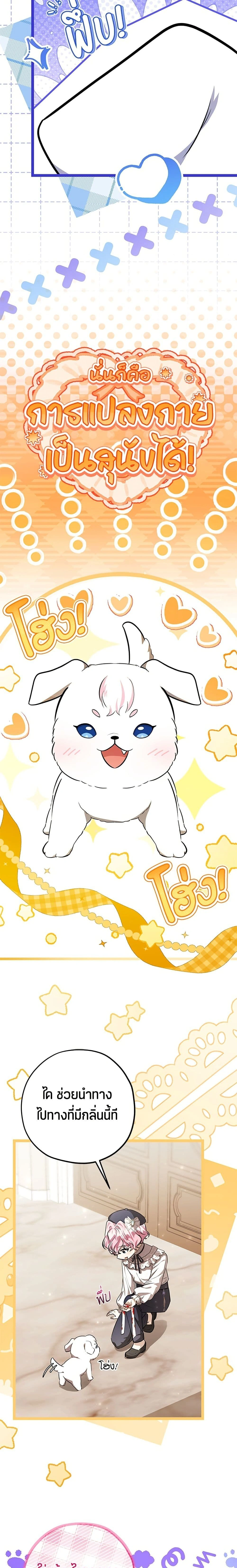 หน้าที่ 28