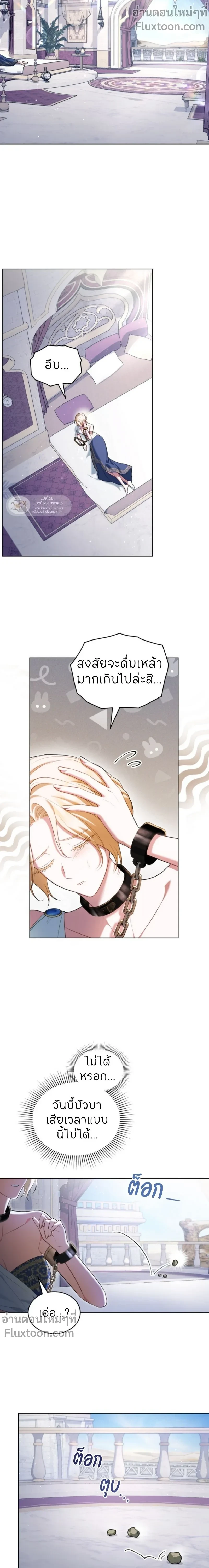 หน้าที่ 13