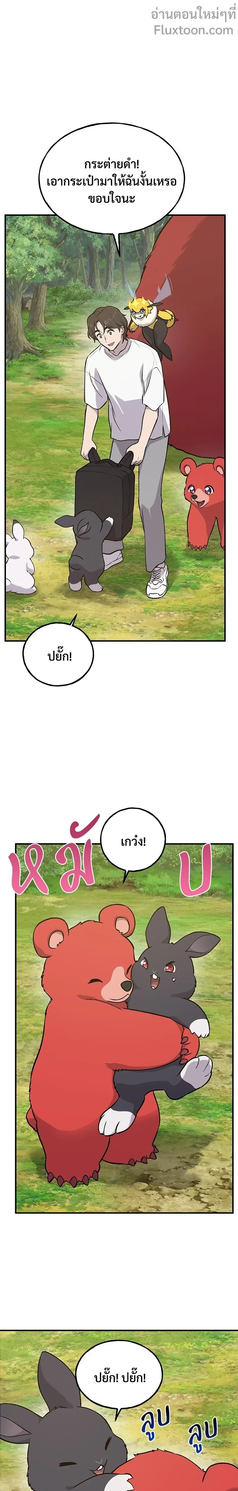 หน้าที่ 13