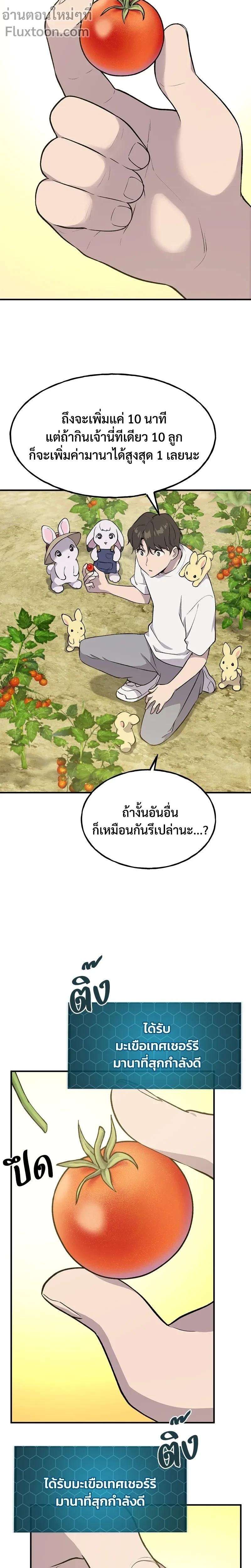 หน้าที่ 13