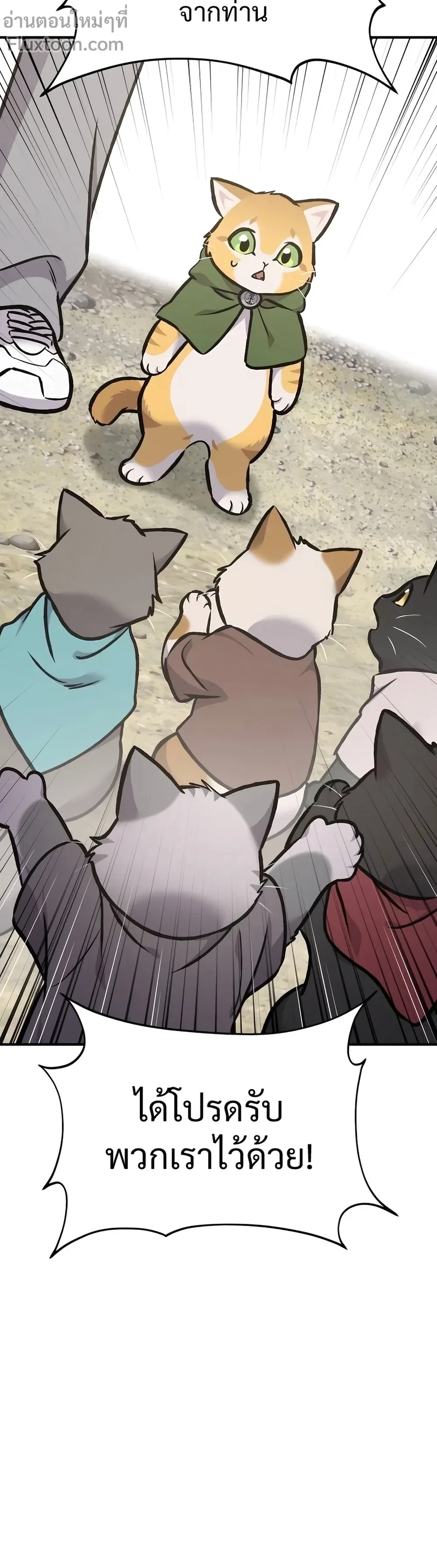 หน้าที่ 34