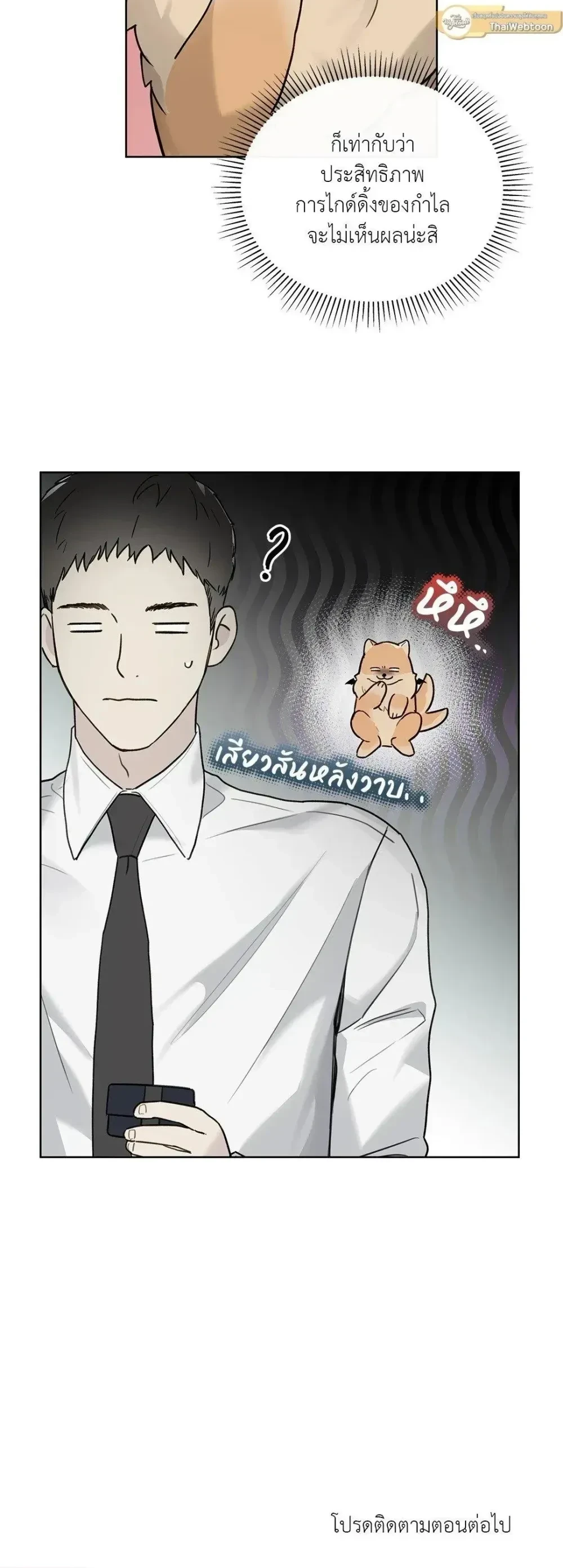 หน้าที่ 17