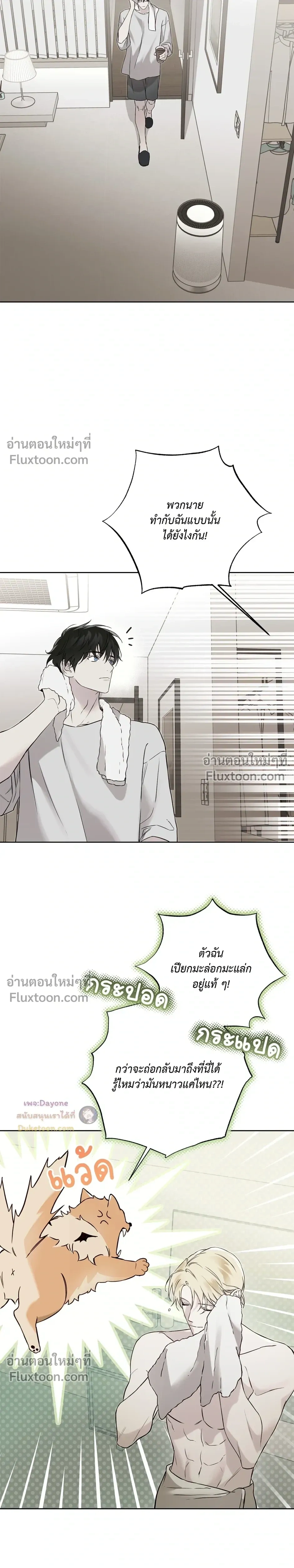 หน้าที่ 13