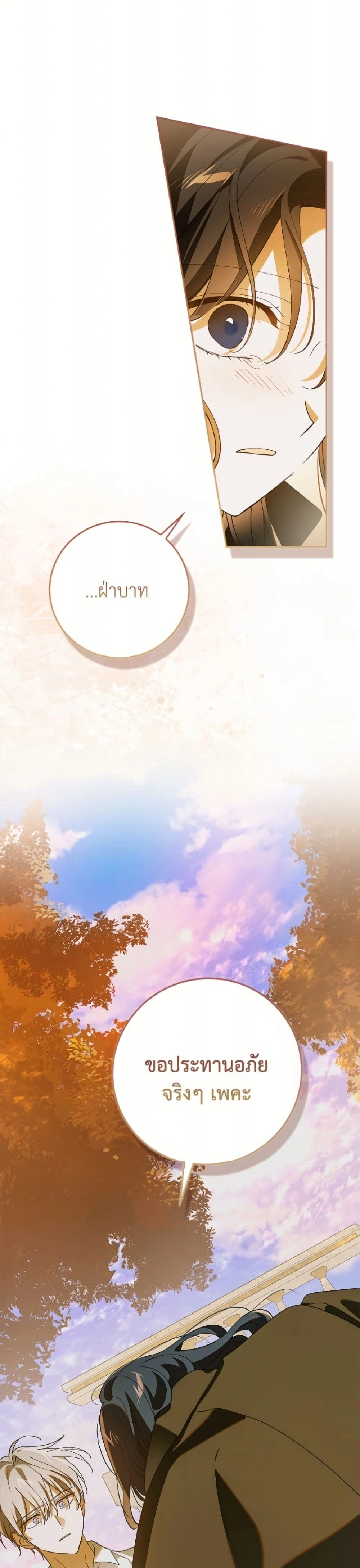 หน้าที่ 29