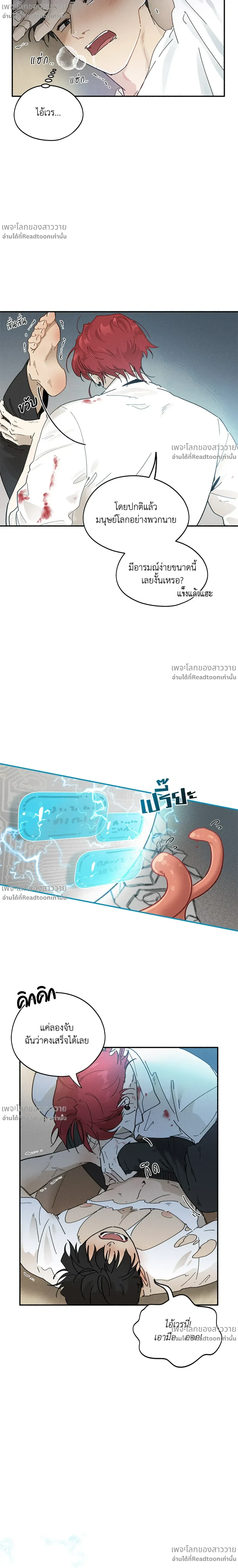 หน้าที่ 11