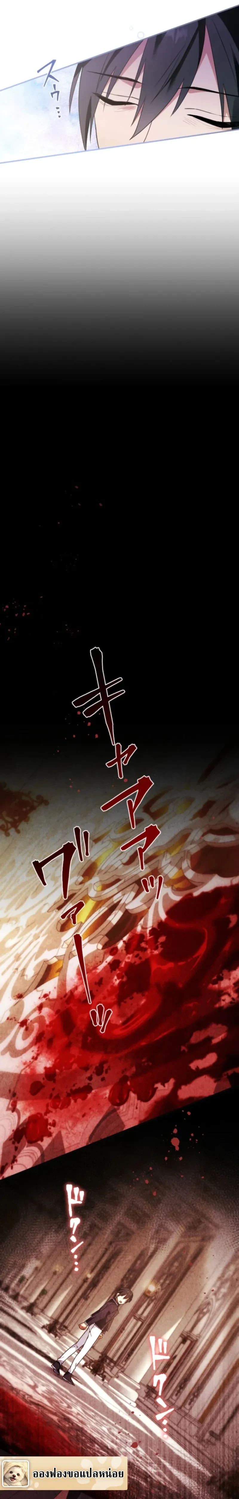 หน้าที่ 17