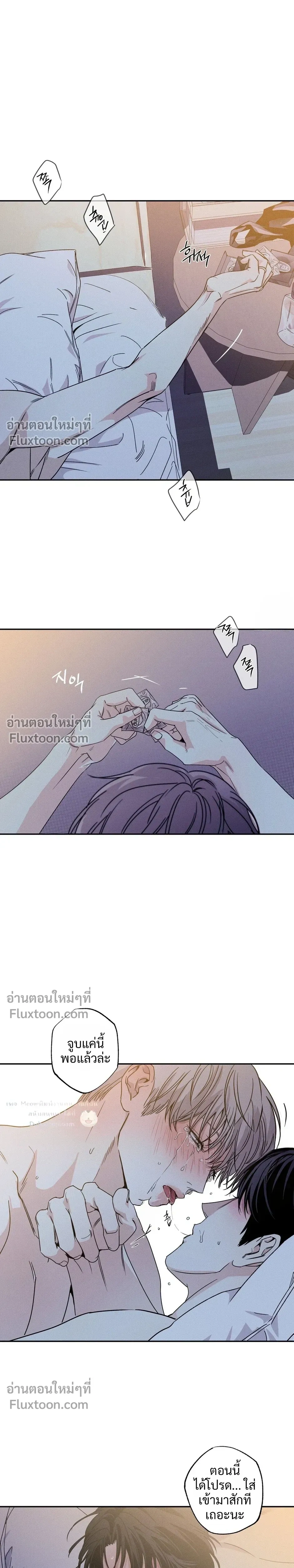 หน้าที่ 17