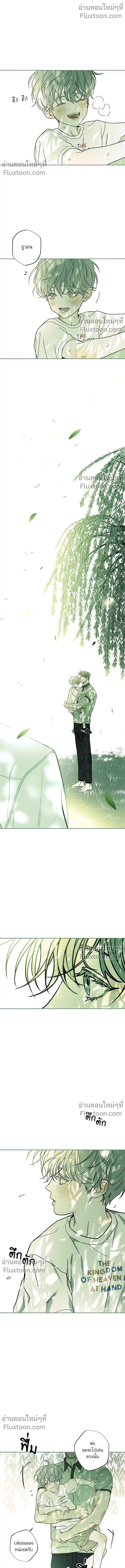 หน้าที่ 13