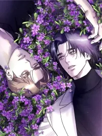 ปกมังงะ Like a Violet - ดั่งดอกไวโอเล็ต