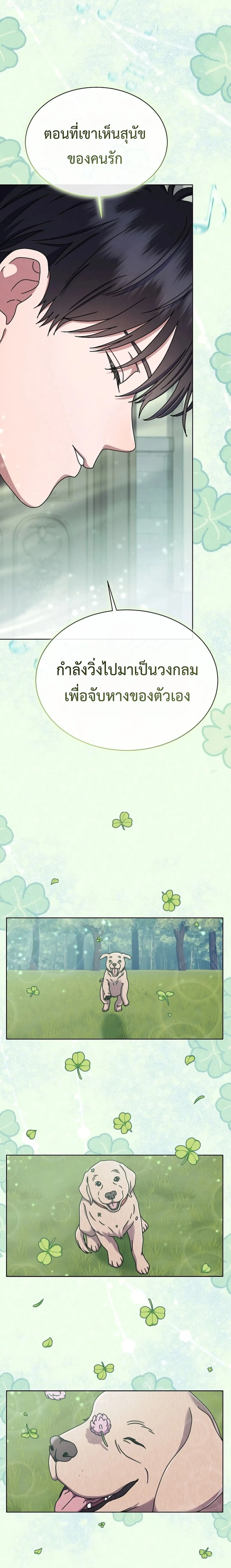 หน้าที่ 17