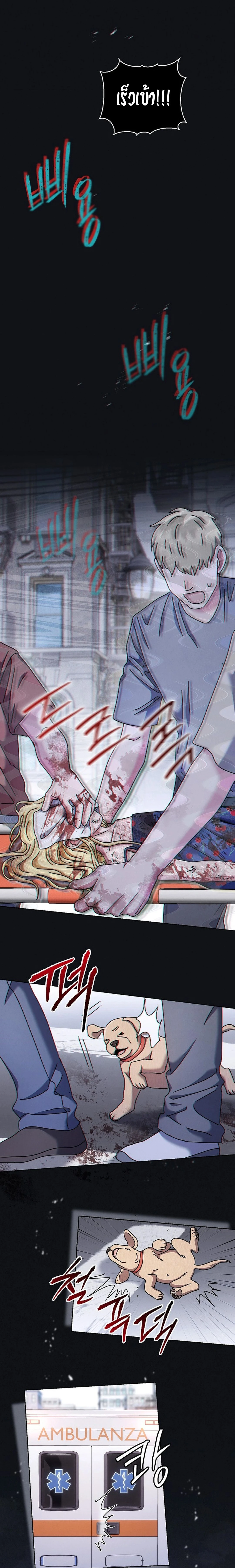 หน้าที่ 18