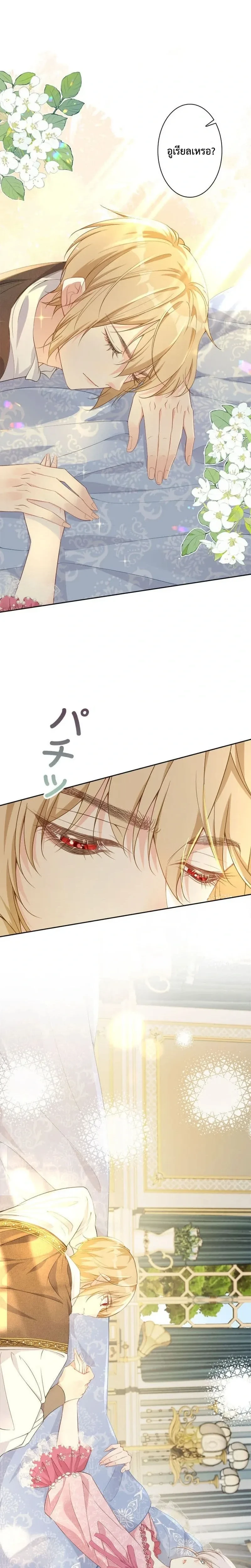 หน้าที่ 11