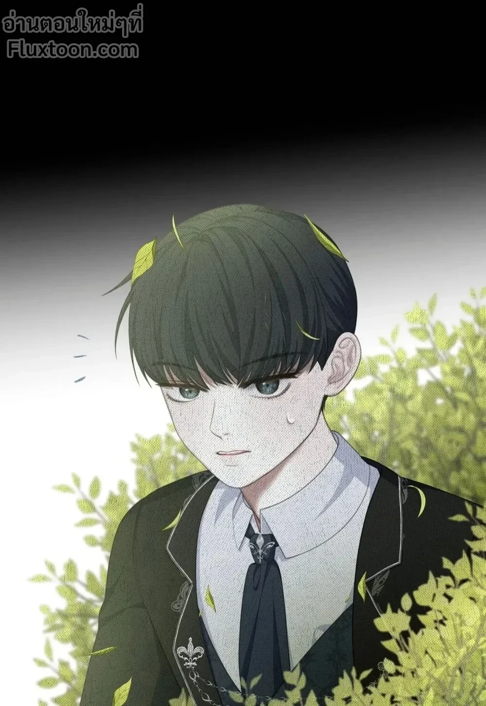 หน้าที่ 13