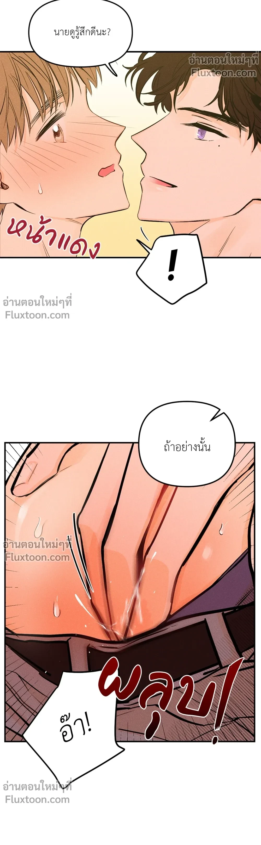 หน้าที่ 15