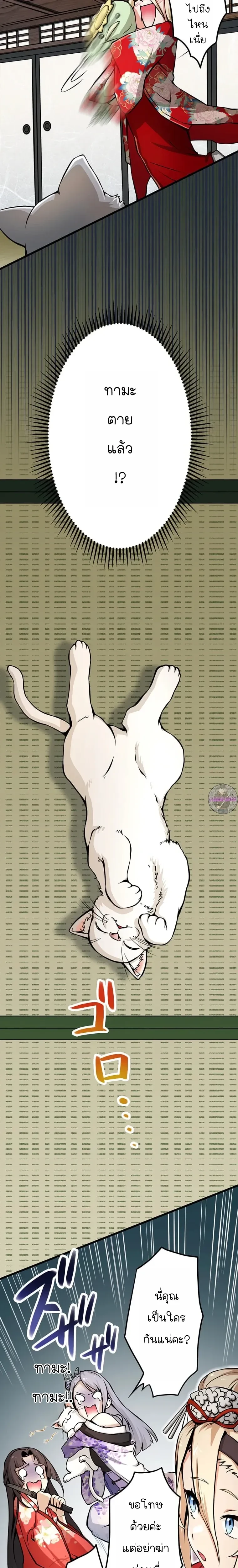 หน้าที่ 19