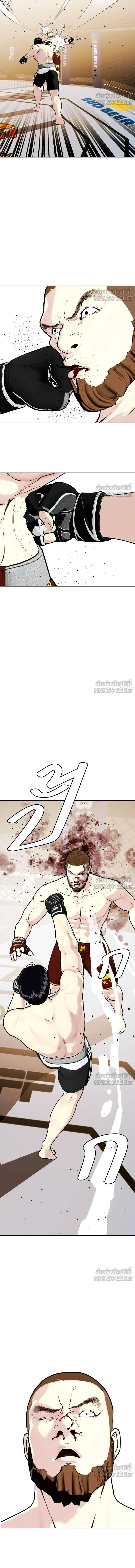 หน้าที่ 17