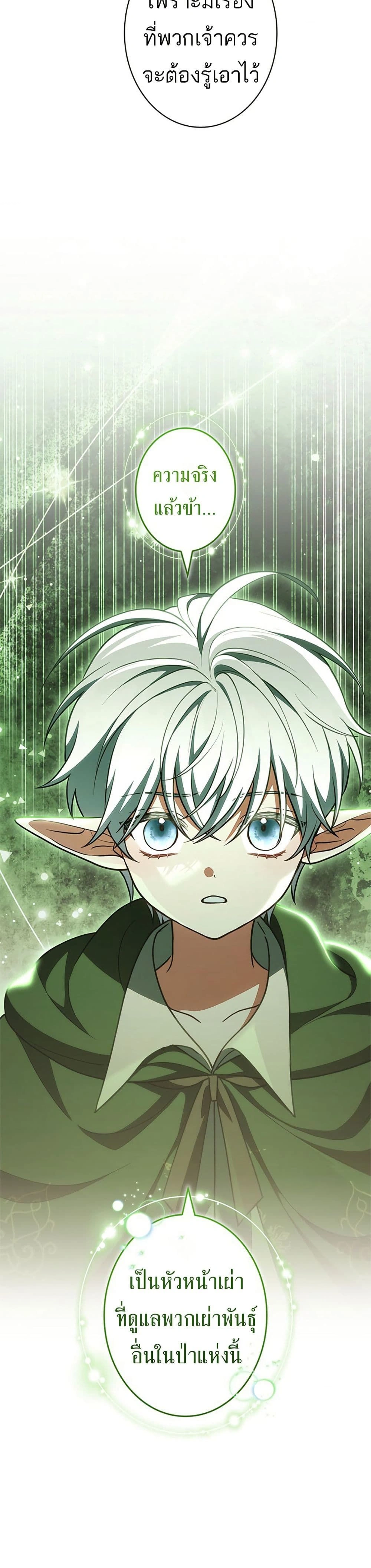 หน้าที่ 29