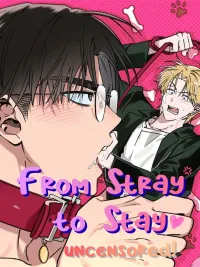 From Stray to Stay - ภารกิจฝึกนายหมาป่าให้เป็นมนุษย์ ปกมังงะ From Stray to Stay - ภารกิจฝึกนายหมาป่าให้เป็นมนุษย์