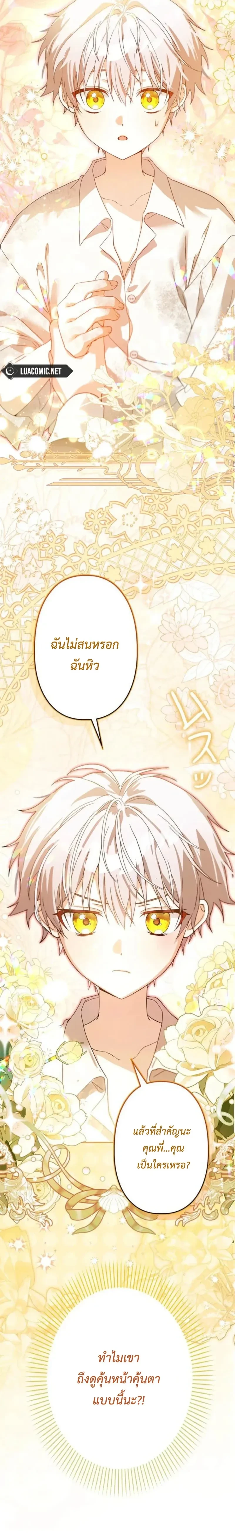 หน้าที่ 31