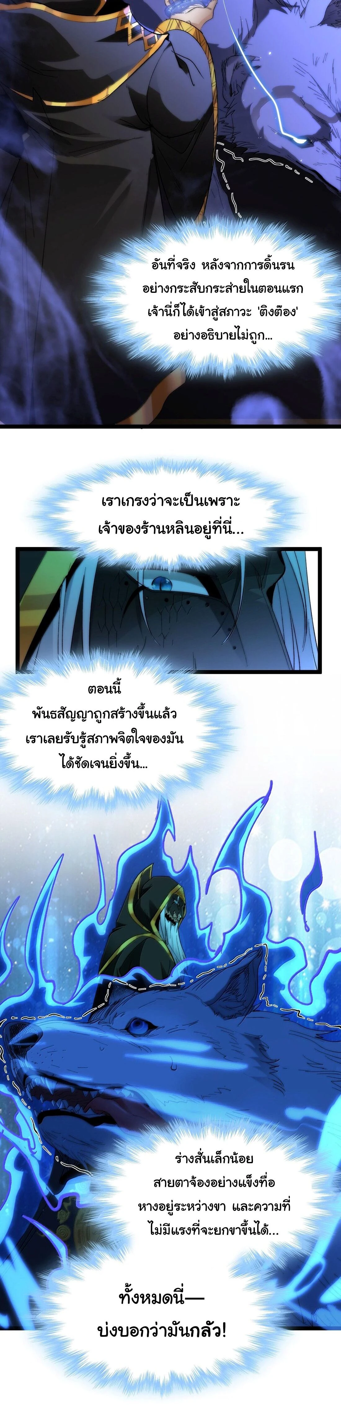 หน้าที่ 17