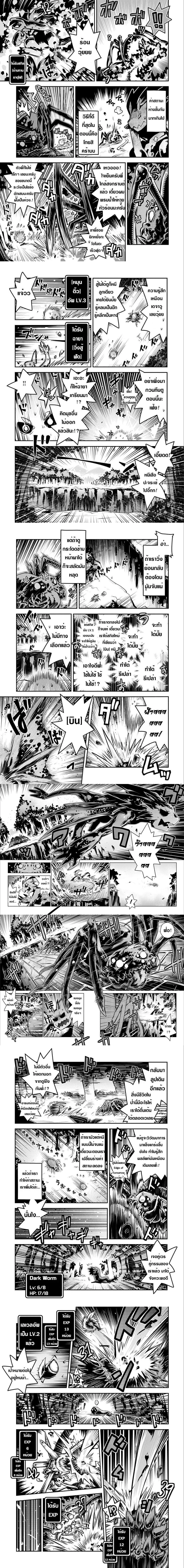 หน้าที่ 4