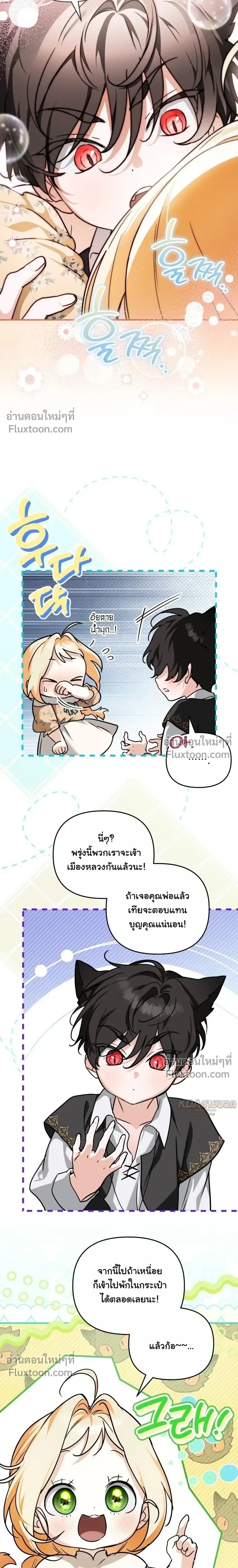 หน้าที่ 13