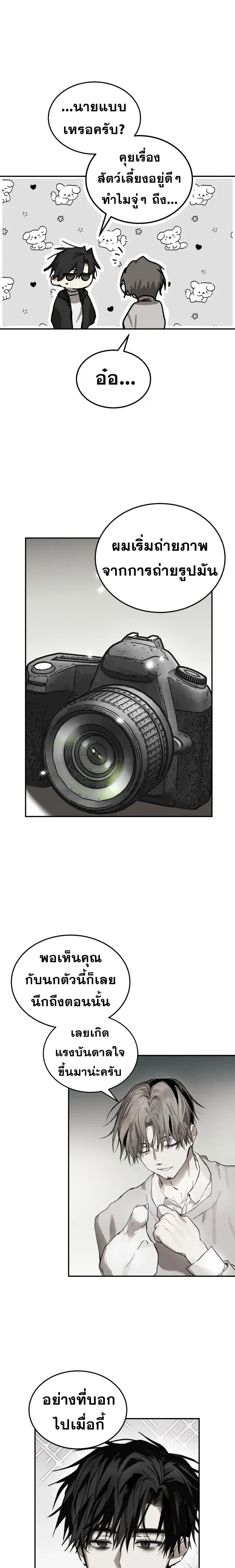 หน้าที่ 13