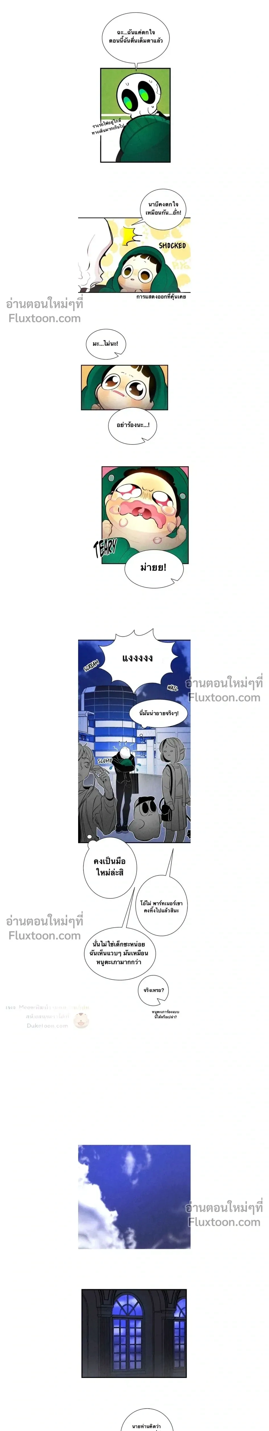 หน้าที่ 13