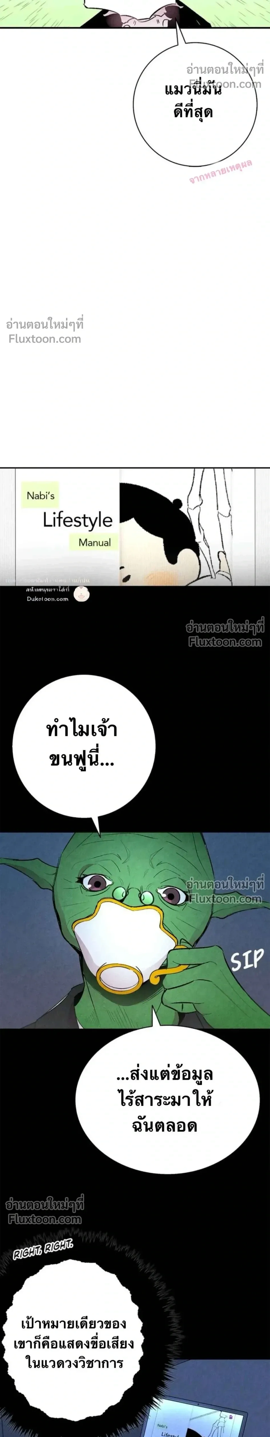 หน้าที่ 17