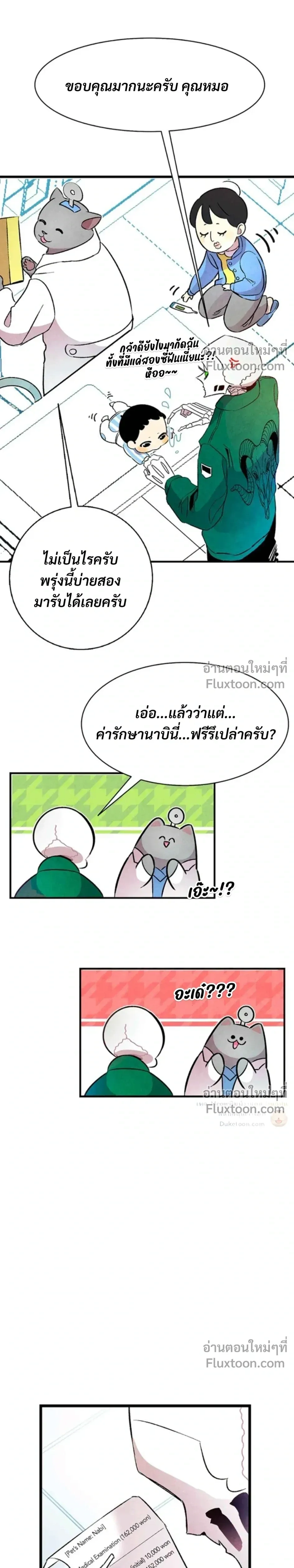 หน้าที่ 13