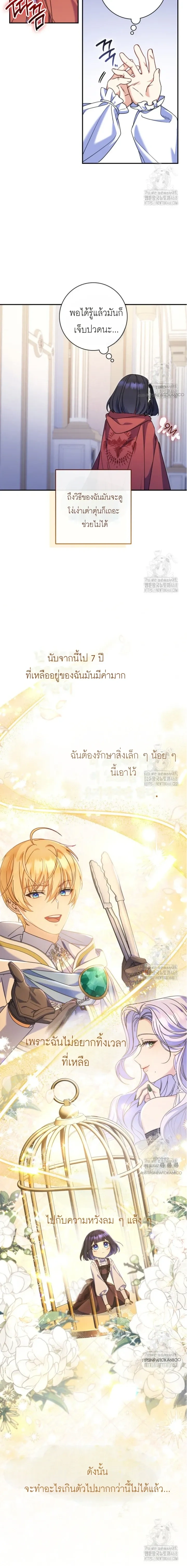 หน้าที่ 17