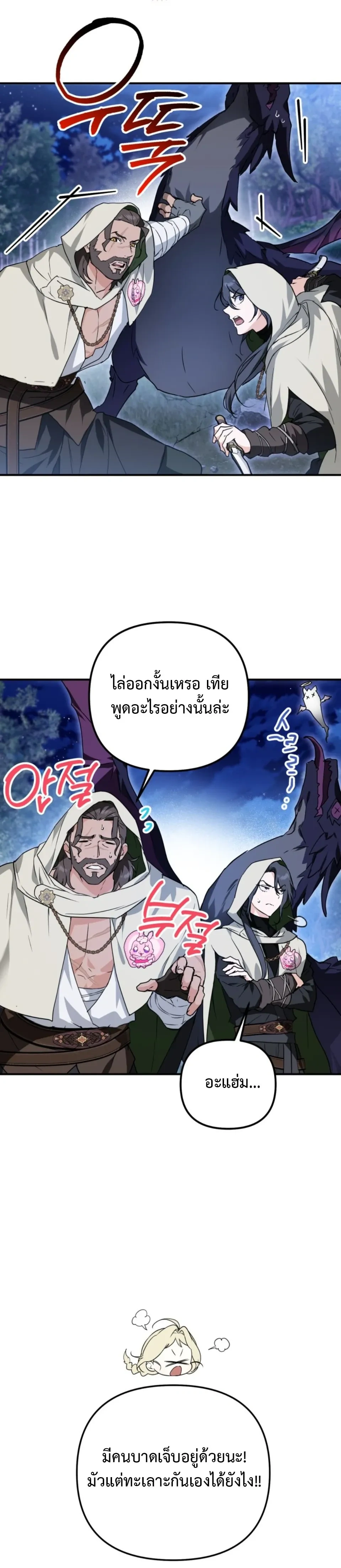 หน้าที่ 17
