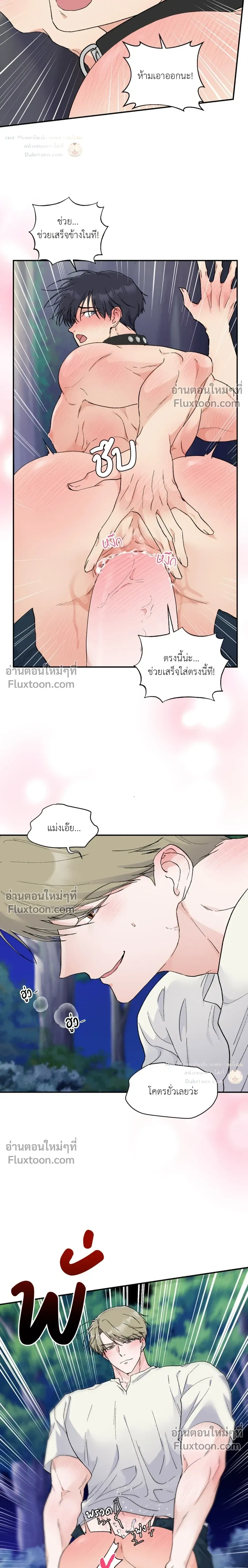 หน้าที่ 15