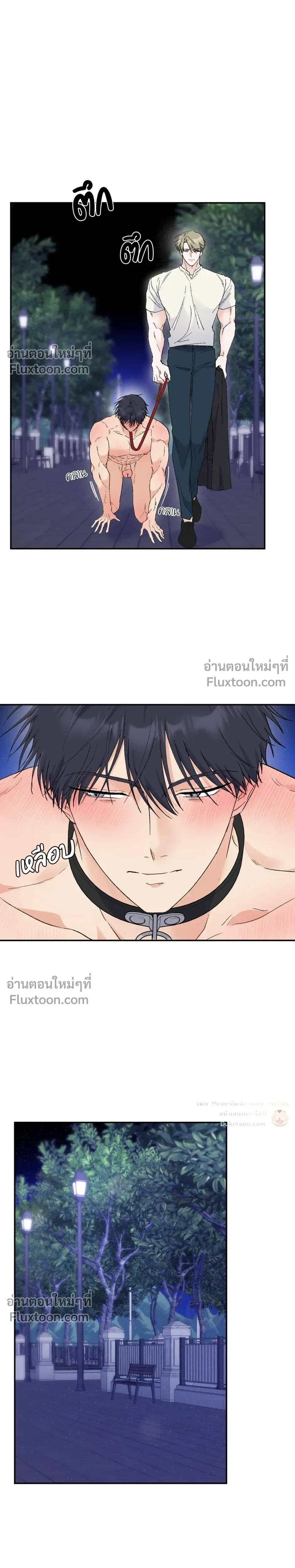 หน้าที่ 4