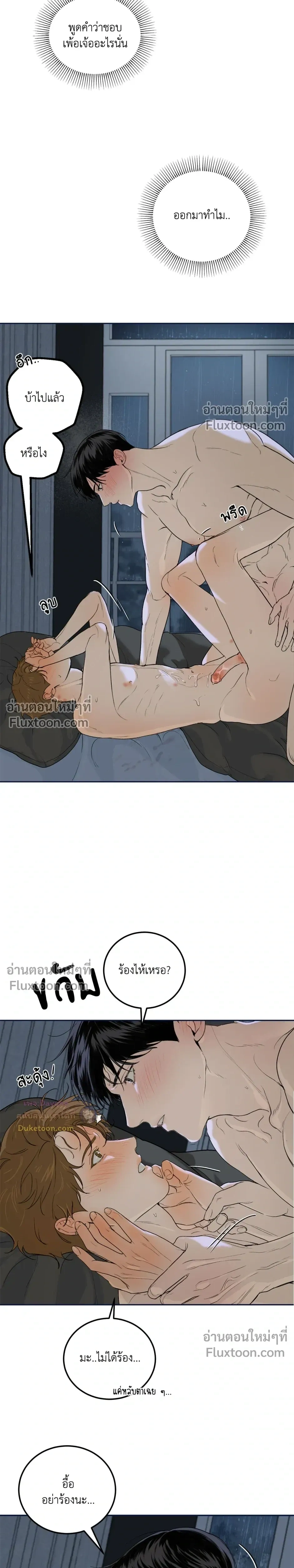 หน้าที่ 31