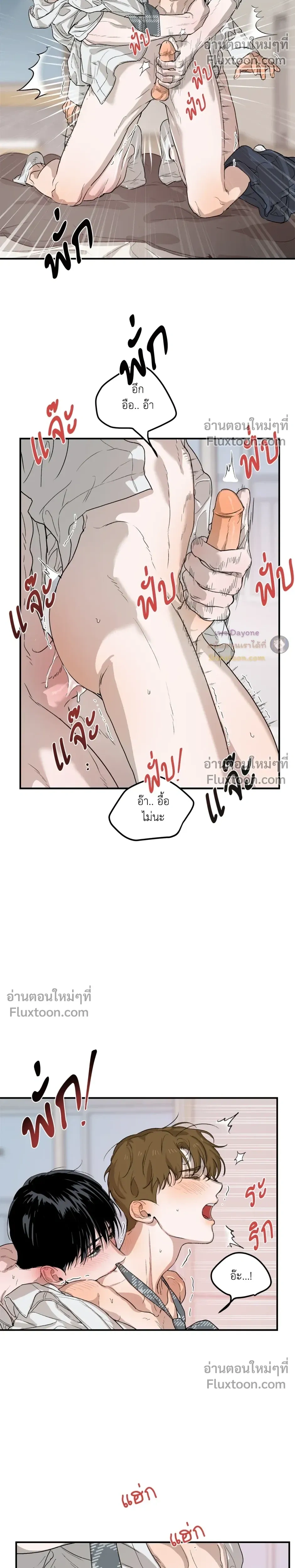 หน้าที่ 29