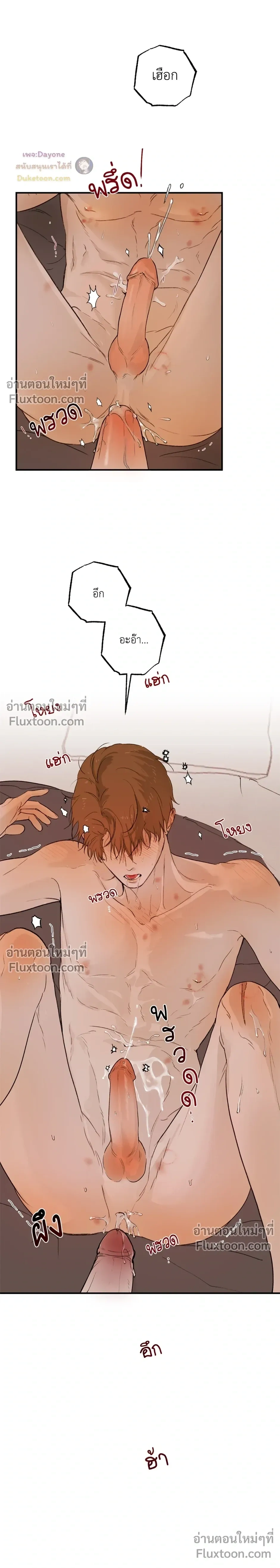 หน้าที่ 30