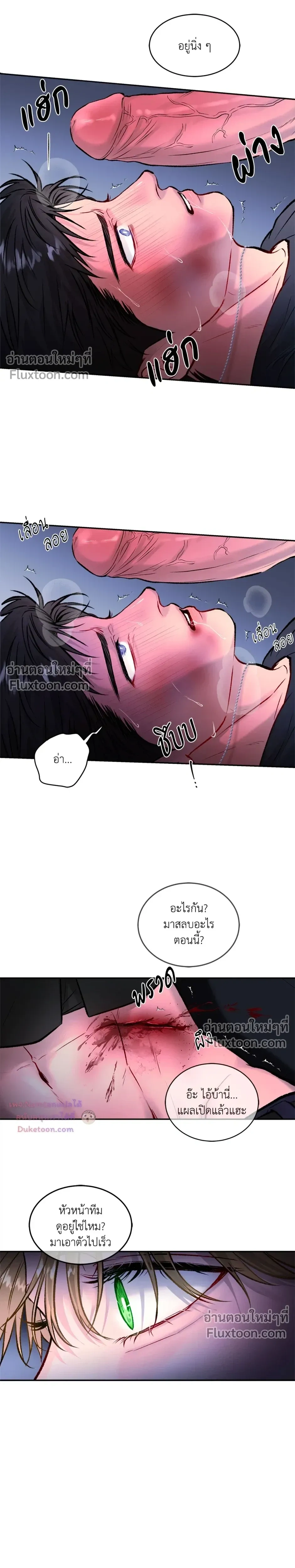 หน้าที่ 13