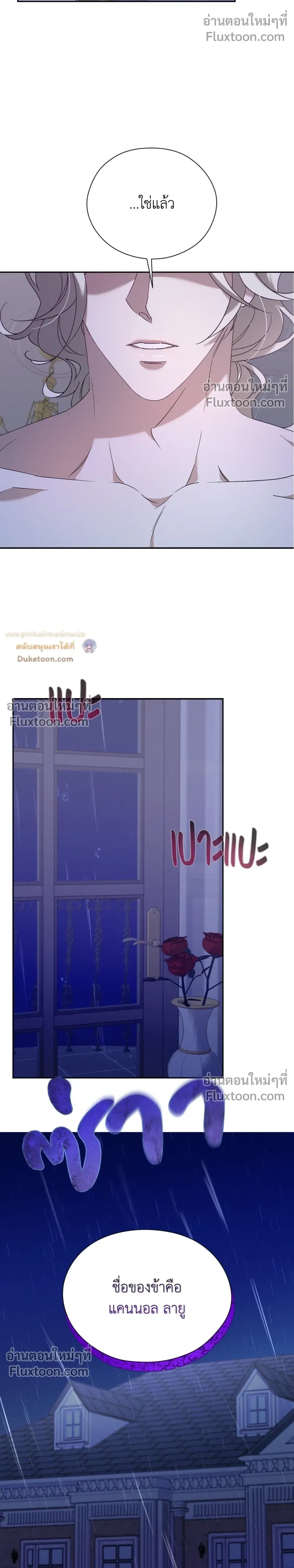 หน้าที่ 29