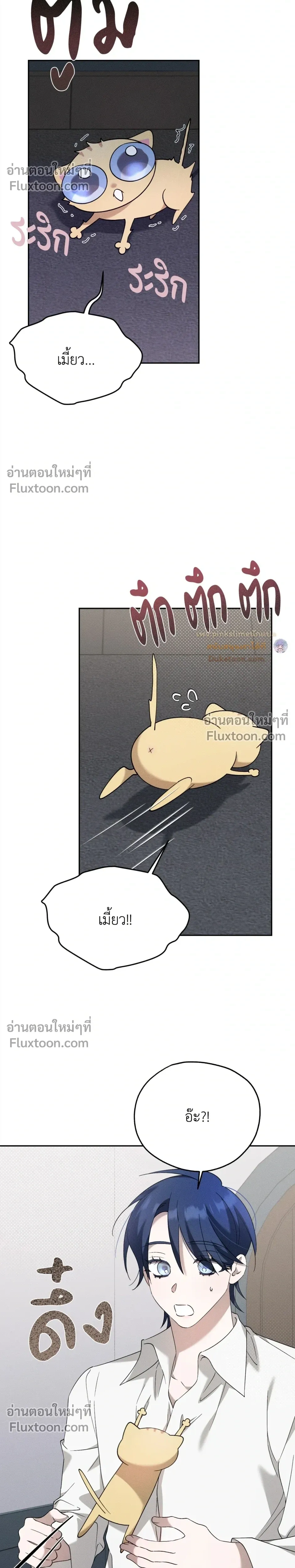 หน้าที่ 11