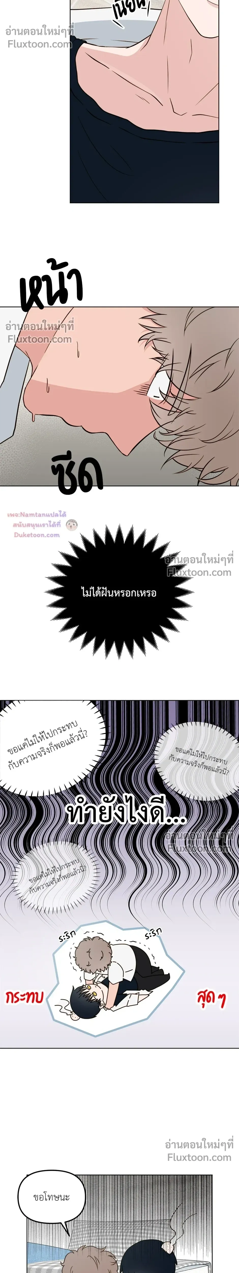 หน้าที่ 17