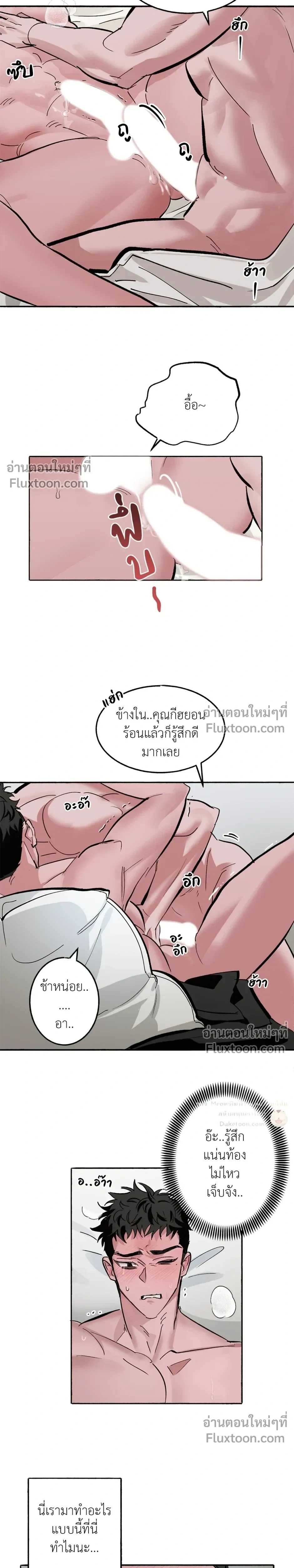 หน้าที่ 13
